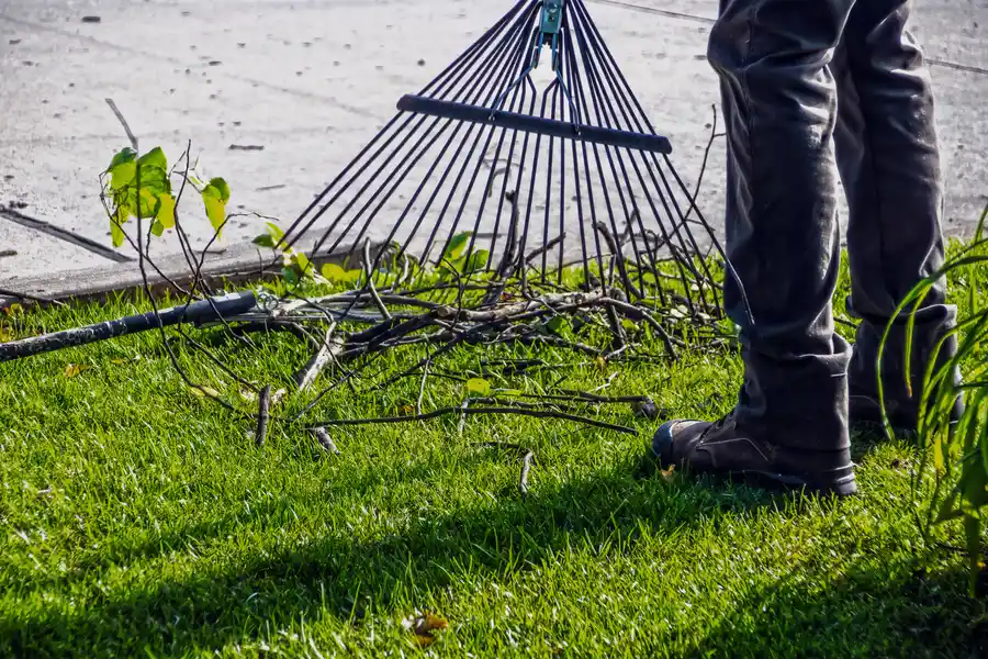 How Bush Hogging Prepares Land For Projects Dunnellon, FL How Bush Hogging Prepares Land For Projects Dunnellon, FL