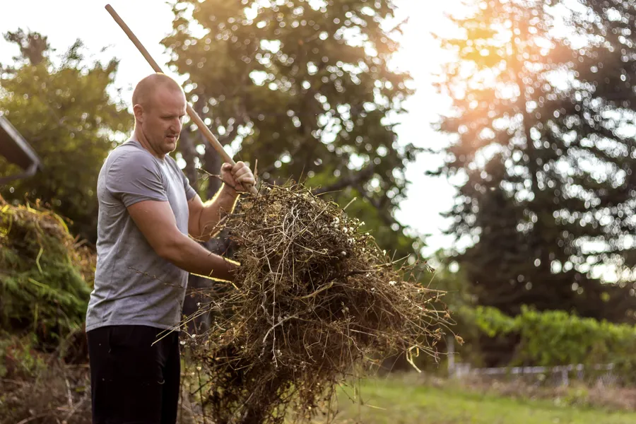 How Yard Cleanup Improves The Health Of Your Landscape in Dunnellon, FL How Yard Cleanup Improves The Health Of Your Landscape in Dunnellon, FL