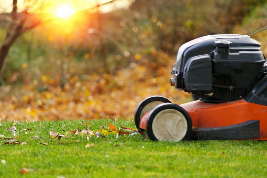 Integrating Pest Control Into Your Lawn Care Routine in Dunnellon, FL Integrating Pest Control Into Your Lawn Care Routine in Dunnellon, FL