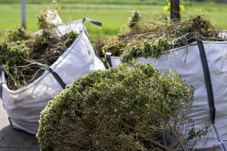 Seasonal Bush Hogging For Long Term Upkeep Dunnellon, FL Seasonal Bush Hogging For Long Term Upkeep Dunnellon, FL