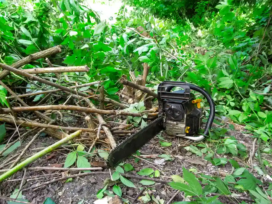 Seasonal Bush Hogging For Long Term Upkeep in Dunnellon, FL Seasonal Bush Hogging For Long Term Upkeep in Dunnellon, FL