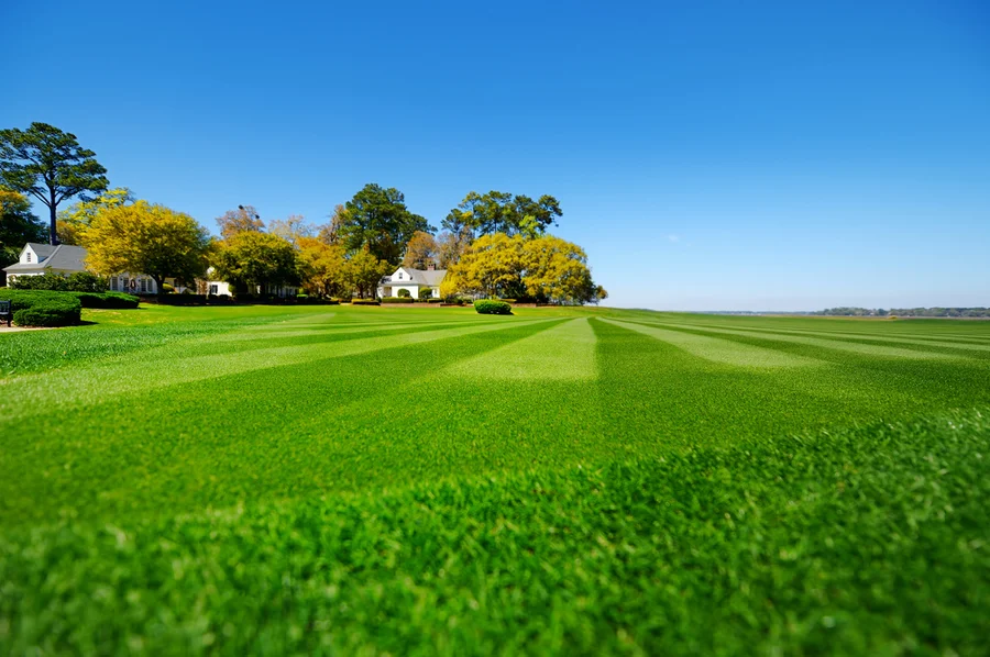 Steps To Prepare Your Lawn For Healthy Growth And Longevity in Dunnellon, FL Steps To Prepare Your Lawn For Healthy Growth And Longevity in Dunnellon, FL