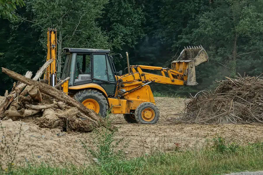 The Impact Of Land Clearing On Tree Health And Growth Dunnellon, FL The Impact Of Land Clearing On Tree Health And Growth Dunnellon, FL
