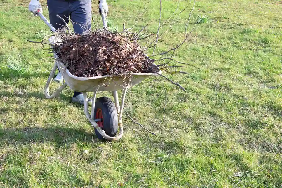 Why Regular Yard Cleanup Is Essential For Lawn Maintenance Dunnellon, FL Why Regular Yard Cleanup Is Essential For Lawn Maintenance Dunnellon, FL