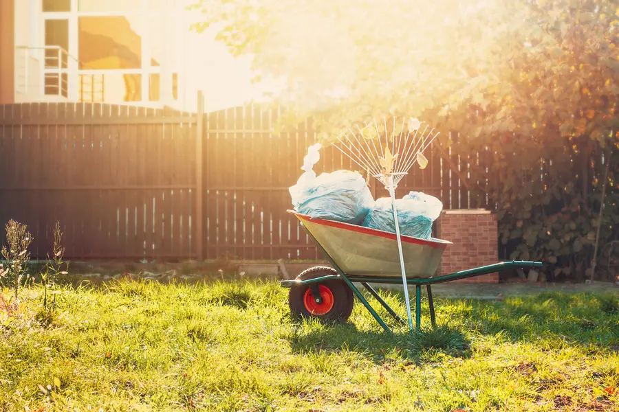 Why Regular Yard Cleanup Is Essential For Lawn Maintenance in Dunnellon, FL Why Regular Yard Cleanup Is Essential For Lawn Maintenance in Dunnellon, FL